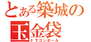 とある築城の玉金袋（ドラゴンボール）