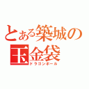 とある築城の玉金袋（ドラゴンボール）