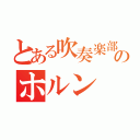 とある吹奏楽部のホルン（）