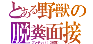 とある野獣の脱糞面接（ブッチッパ！（迫真））