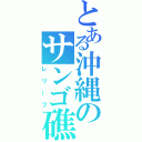 とある沖縄のサンゴ礁（レリーフ）