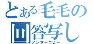 とある毛毛の回答写し（アンサーコピー）