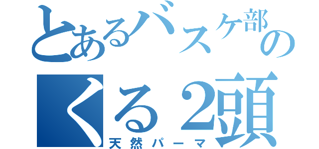 とあるバスケ部のくる２頭（天然パーマ）