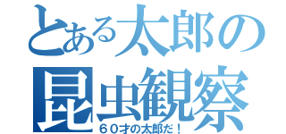 とある太郎の昆虫観察（６０才の太郎だ！）