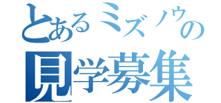 とあるミズノウエルネスの見学募集中（）