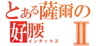 とある薩爾の好腰Ⅱ（インデックス）