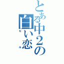 とある中２の白い恋（セ　　ル）