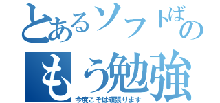 とあるソフトばかのもう勉強（今度こそは頑張ります）