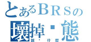 とあるＢＲＳの壞掉狀態（該說什麼）