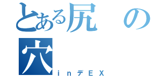 とある尻の穴（ｉｎデＥＸ）