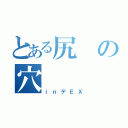 とある尻の穴（ｉｎデＥＸ）