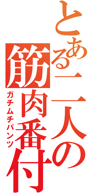 とある二人の筋肉番付（ガチムチパンツ）