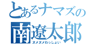 とあるナマズの南遼太郎（ヌメヌメわっしょい）