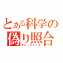 とある科学の偽り照合（ダミーチェック）