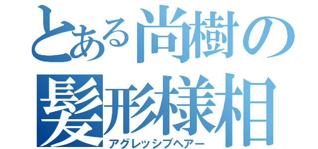 とある尚樹の髪形様相（アグレッシブヘアー）