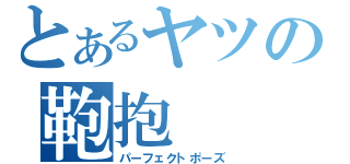 とあるヤツの鞄抱（パーフェクトポーズ）