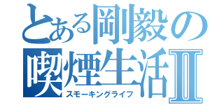 とある剛毅の喫煙生活Ⅱ（スモーキングライフ）