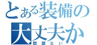 とある装備の大丈夫か？（問題ない）