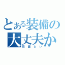 とある装備の大丈夫か？（問題ない）