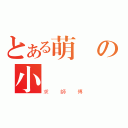 とある萌の小遙（求師傅）