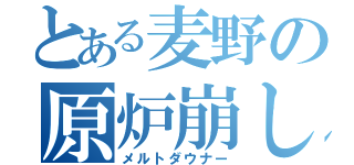 とある麦野の原炉崩し（メルトダウナー）