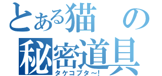 とある猫の秘密道具（タケコプタ～！）