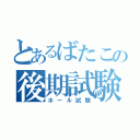 とあるばたこの後期試験（ホール試験）