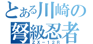 とある川崎の弩級忍者（ＺＸ－１２Ｒ）