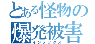 とある怪物の爆発被害（インデックス）