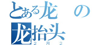 とある龙の龙抬头（２月２）