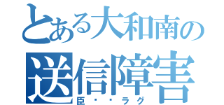 とある大和南の送信障害（臣⭐︎ラグ）