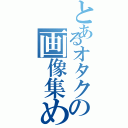 とあるオタクの画像集め（）