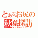 とあるお尻の秋葉探訪（メイ喫めぐり）