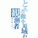 とある微小領域の観測者（オブザーバー）