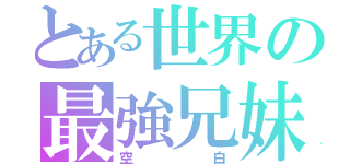 とある世界の最強兄妹（空白）