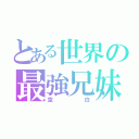 とある世界の最強兄妹（空白）