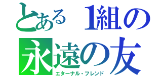 とある１組の永遠の友（エターナル・フレンド）