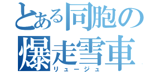 とある同胞の爆走雪車（リュージュ）