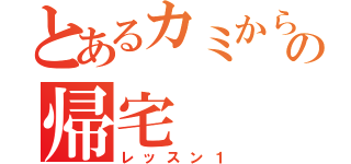 とあるカミからの帰宅（レッスン１）