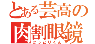 とある芸高の肉割眼鏡（はっとりくん）