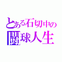 とある石切中の闘球人生（）