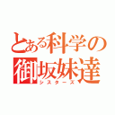 とある科学の御坂妹達（シスターズ）