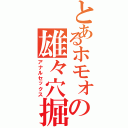 とあるホモォの雄々穴掘（アナルセックス）