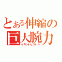 とある伸縮の巨大腕力（ギガントピストル）