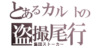 とあるカルトの盗撮尾行（集団ストーカー）