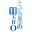 とある馬鹿⑤のＨＥＲＯ（）