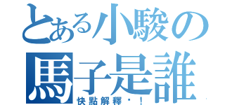 とある小駿の馬子是誰（快點解釋啦！）