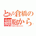 とある倉橋の細胞から（生まれし者ｗｗｗｗｗ）