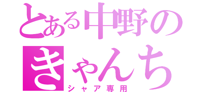 とある中野のきゃんち（シャア専用）