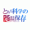 とある科学の定温保存（サーマルハンド）